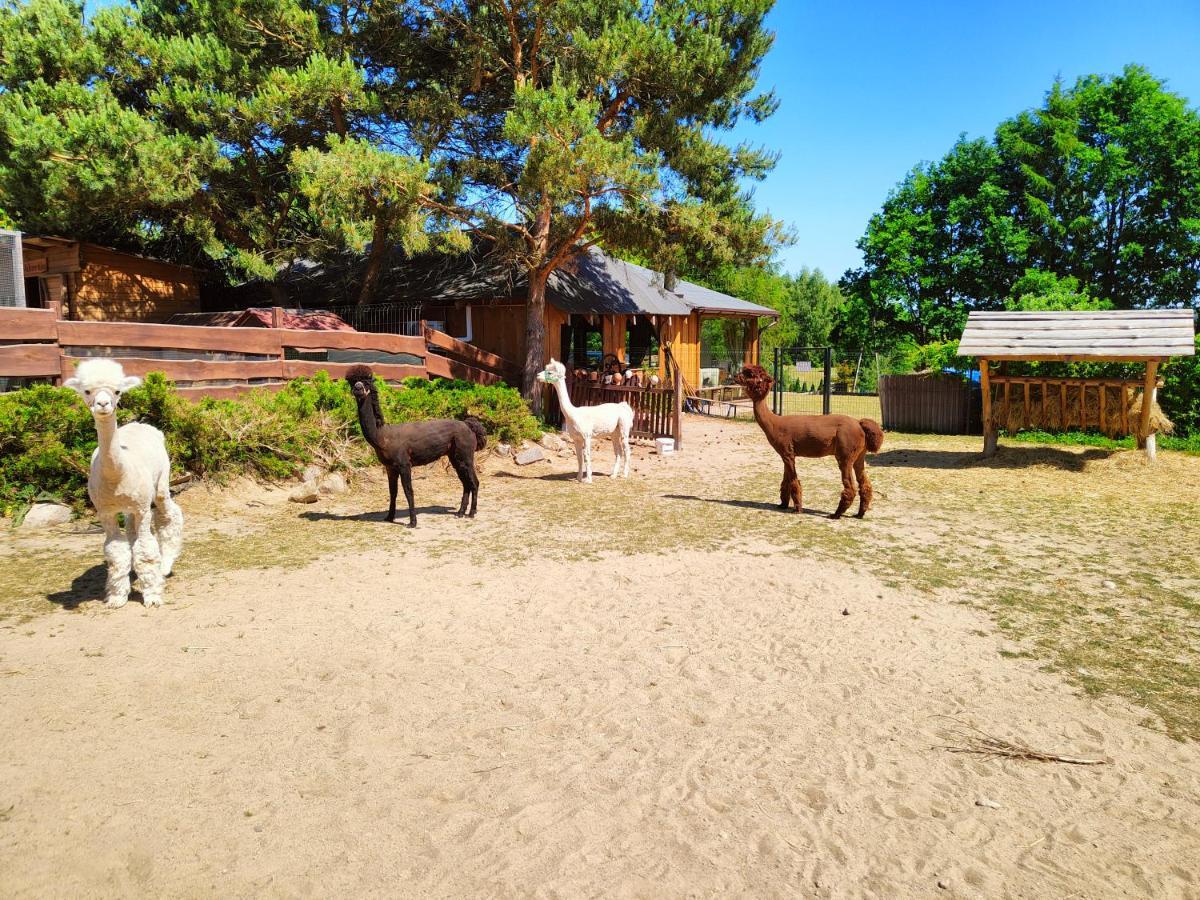 Domek Na Slonecznikowej Chmielno Kültér fotó